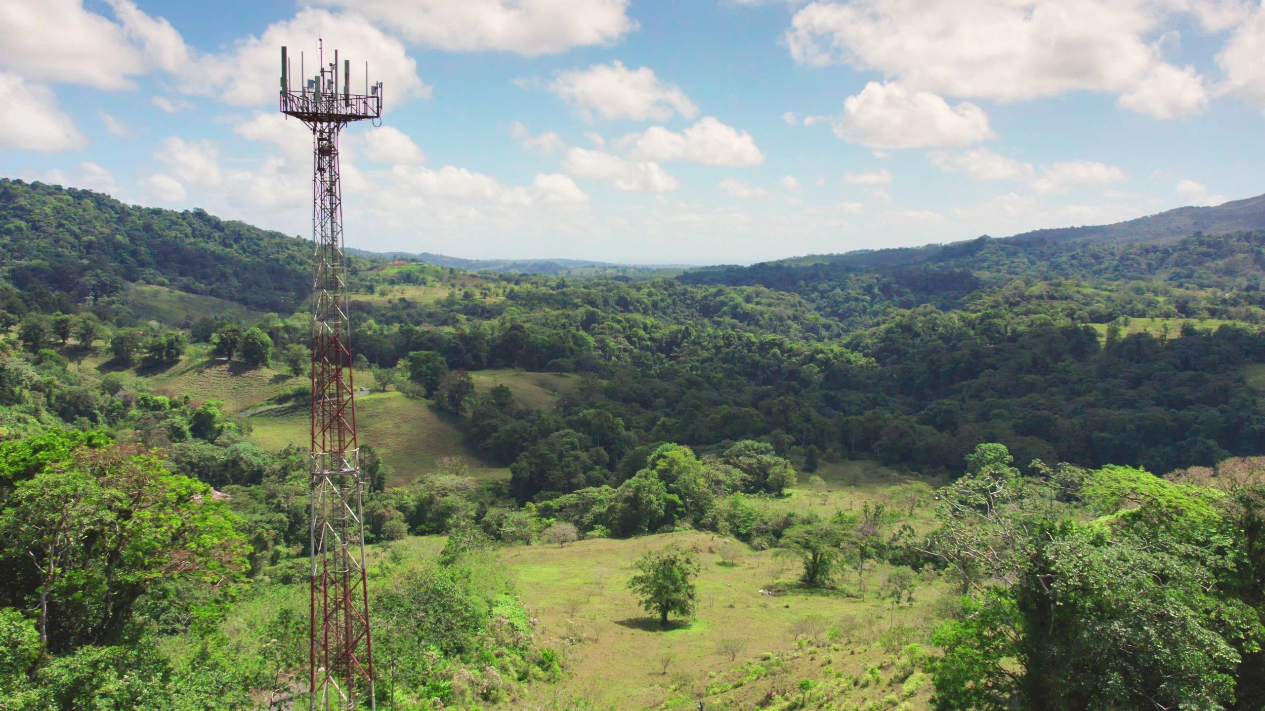 Communications tower in a tropical landscape